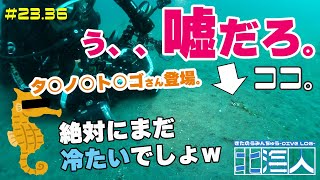 【北-海人(キタノウミンチュウ)】道民ダイビングログ/＠23年05月14日開催～AVII Diving Underwater Footage～ スクーバダイビングサービス アビイ【#道民ダイバー 】