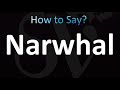 How to Pronounce Narwhal (correctly!)