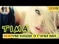 tima Хорм карди э гули ма