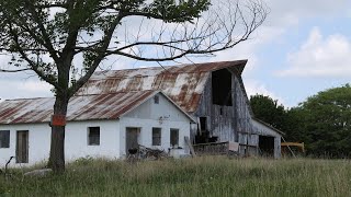 Vjehrra e kishte te ngushte me habiti