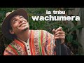 THE WACHUMA TRIBE | Alejo Sanzon