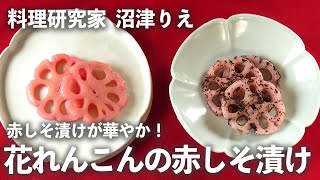 「 花れんこんの赤しそ漬け 」が華やか！お正月のおせち料理におすすめ！【ちょこっと漬け♯60】｜ kufura   [ クフラ ]