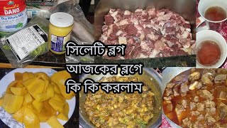 সিলেটি ব্লগ আজকের ব্লগের কি কি করলাম | American blogger Asma | Bangla blog