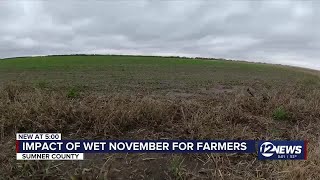 South central Kansas farmer on weekend rain: 'makes the future look brighter'