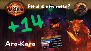 +14 Ara Kara, City of Echoes - Druid Feral POV | TWW - Feral is new meta ?