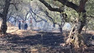 Υπό έλεγχο η φωτιά σε δασική έκταση στο Φιολίτι Ζακύνθου