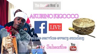 kigooco kia Akurino live na ndarama