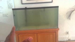 Geo's 90g Reef Tank | Day 1