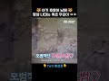 매사에 모범적인 태범이 와 사고뭉치 무궁이 의 케미 대공개 애니멀봐 shorts