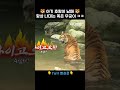 매사에 모범적인 태범이 와 사고뭉치 무궁이 의 케미 대공개 애니멀봐 shorts