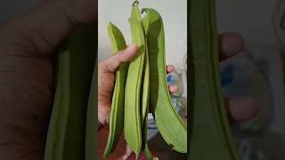 తమ్మకాయల కర్రీ ఎప్పుడైనా తిన్నారా👍| Sword Beans Fry | Healthy Fibre Rich Recipe #shorts