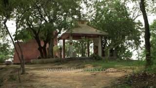 Ancient well at Raja Karn ka Kila in Thanesar, Haryana