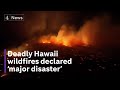 36 dead as wildfires tear through Hawaiian island of Maui