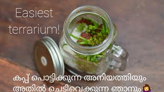 Easiest terrarium in a Mason jar ഇതിന്റെ പുറകിൽ ഒരു കഥയുണ്ട്!😄( മലയാളം)terrarium by Botanical Woman