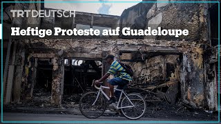 Heftige Proteste auf Guadeloupe