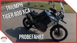Nova Triumph Tiger 800c Xca Off Road Top Speed Music Jinni