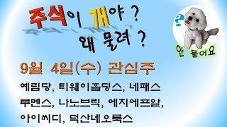 [웃지] 9월4일 관심주 - 예림당, 티웨이홀딩스, 루멘스, 나노브릭, 에치에프알, 아이씨디, 덕산네오룩스