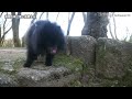 【🐕わん策物語】古城公園と高岡大仏とたかおか大仏茶屋 2021 03 11 　～富山県高岡市～