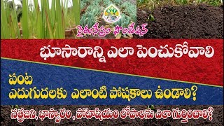 భూసారాన్ని ఎలా పెంచుకోవాలి  | నత్రజని, భాస్వరం ,పోటాషియం లోపాలను ఎలా గుర్తించాలి