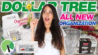 Dollar Tree *NEW* Luxury Organization Organize your ENTIRE home with these items!