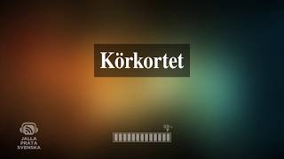 Så tar du körkort i Sverige