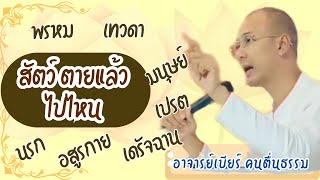 สัตว์ตายแล้วไปไหน 5 ที่ไปของสัตว์ #ธรรมะ #คนตื่นธรรม #อาจารย์เบียร์