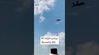 මිට පෙර මේ තරම් ලගින් දැකලා තියෙනවද Kfir එකක් 🥰#shorts #viral #subscribe