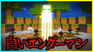 「ホワイトエンダーマン」に〇され続ける?!?! 【まいくら / マインクラフト】