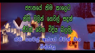 ජපානයේ හිම ගෙවල් වල ජීවත් වෙන ජපන් ජාතිකයන් ජීවත් වෙන විදිය බලන්න එන්න අපි යමු.