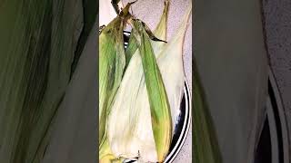 How to say Corn Husk speaking native Abenaki Language🌽#cornhusk #abenaki #wabanaki #nativeamerican