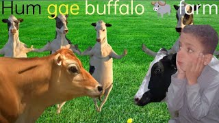 Hum gae buffalo farm || @shirazi786