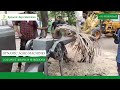 Coconut Branch Shredder | Agriculture coconut leaves Shredder | Keyul Enterprise