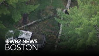 70-year-old Plymouth man killed by fallen tree limb and more top stories