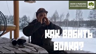 Как вабить волка