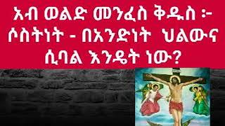 አብ ወልድ መንፈስ ቅዱስ ፦ ሶስትነት -በአንድነት ህልውና ሲባል እንዴት ነው?