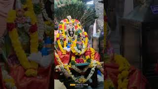 #*வயலூர் அருள்மிகு சுப்ரமணியசுவாமி* திருக்கோவில் *முருகப்பெருமான்  சிறிய மயில் வாகனத்தில்*புறப்பாடு.