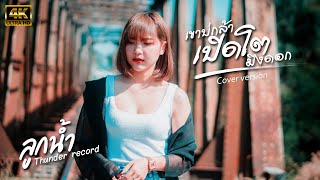 เขาบ่กล้าเปิดโตมึงดอก  -ลูกน้ำ นนพล [Cover version] Original : เก่ง สยามft.อาร์ม กระนวน จอนนี่มิวสิค