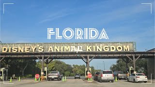 Exploring Animal Kingdom  - Avatar Flight of Passage & Expedition Everest Footage! :Day 7 in Orlando