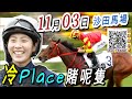 單棍第五場,追擊第九,第十場 | 梁西華講馬經(2024年11月03日)賽馬粵語旁述 | 馬迷交流 | 沙田 草地日賽 香港賽馬