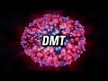 DMT Will Be RELEASED Thru Your PINEAL Gland 999Hz 40Hz 4Hz Hypnotic Beats