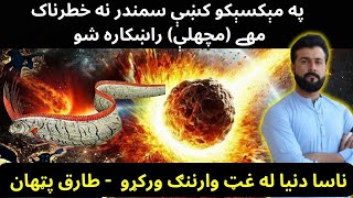 Reality of Oarfish \u0026 NASA warning of Asteroid hit explained by Tariq Pathan