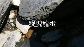 迴旋谷尋龍趣