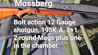 195K-A bolt action mossberg 12 gauge shotgun, 2+1 rounds. 2 round mags. EDIT: 1956-1964 not 1951.