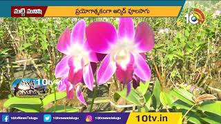 రైతులకు అధిక లాభాలనిచ్చే ఆర్కిడ్ పూల సాగు | Huge Profits With Orchid Flower Farming | Matti Manishi