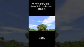 【ディズニー】マイクラでディズニー作っている人の特権　大樹 #shorts