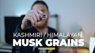 How do Kashmiri/ Himalayan Deer Musk Grains smell? Most Mysterious scent in the world