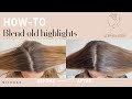 How-to Blend Old Highlights  |  MIIROKO Hair