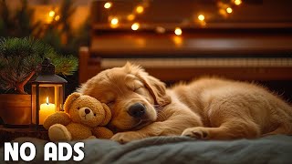 12 Hours of Relaxing music for dogs💖🐶Anti separation anxiety relief🐶💖Pet music🎵 Deep Sleep🐶