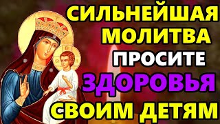 ПРОСИТЕ ЗДОРОВЬЯ И БЛАГОПОЛУЧИЯ ДЕТЯМ Сильная Молитва Писидийской Богородице! Православие