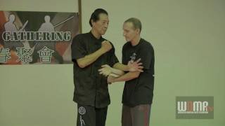 Wing Chun Jum Sau  Samuel Kwok